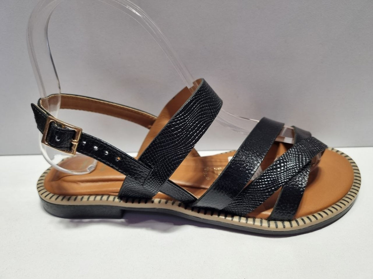 SAND.RZ 479 PLANA