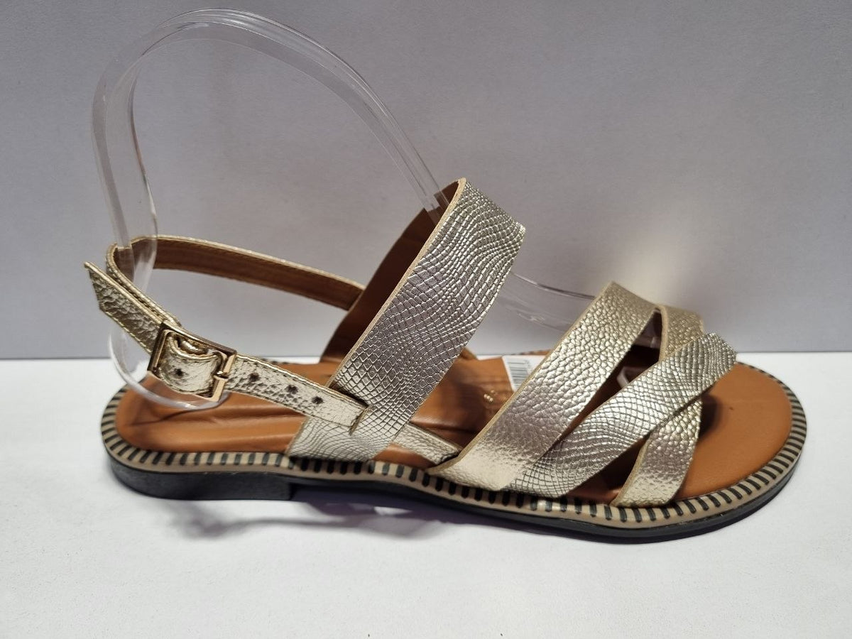 SAND.RZ 479 PLANA