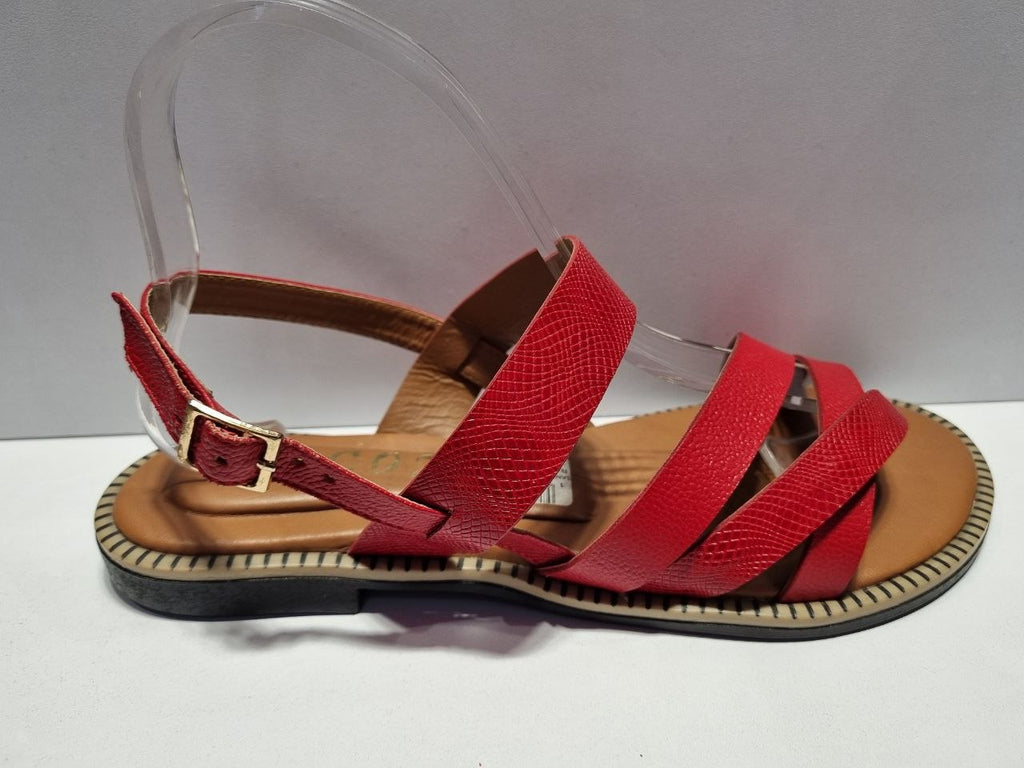 SAND.RZ 479 PLANA
