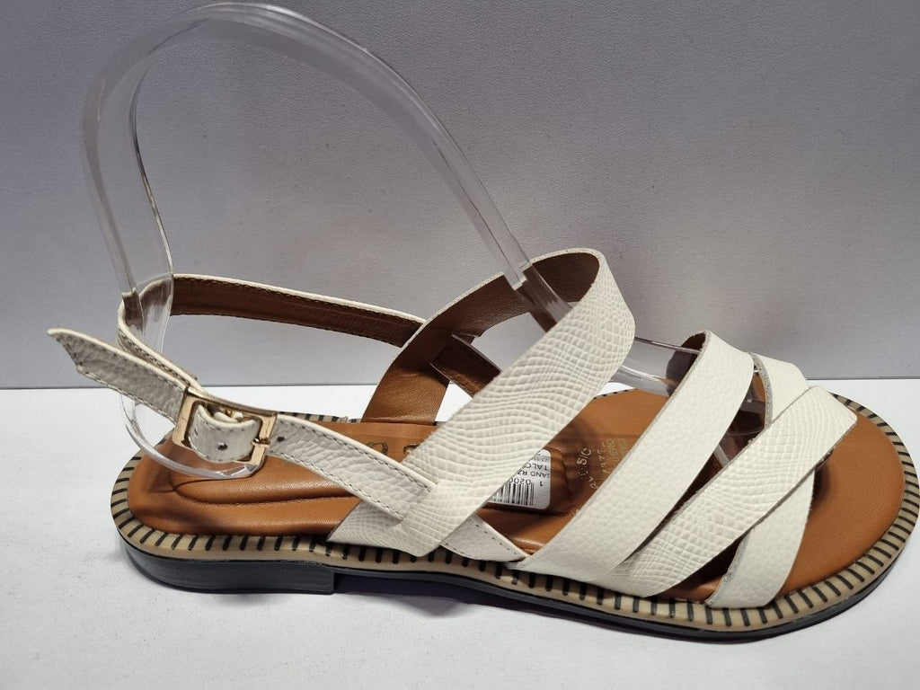 SAND.RZ 479 PLANA