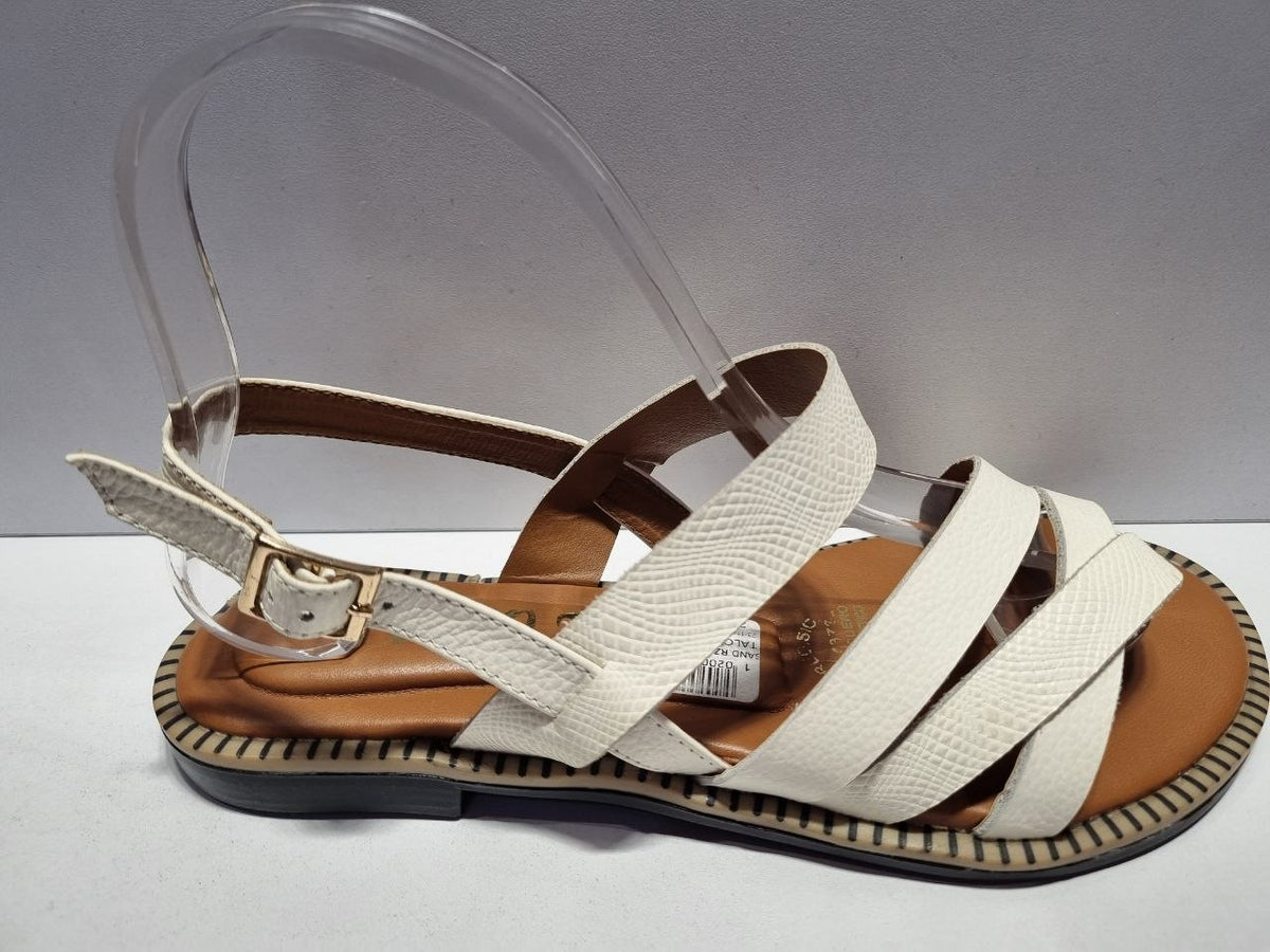 SAND.RZ 479 PLANA