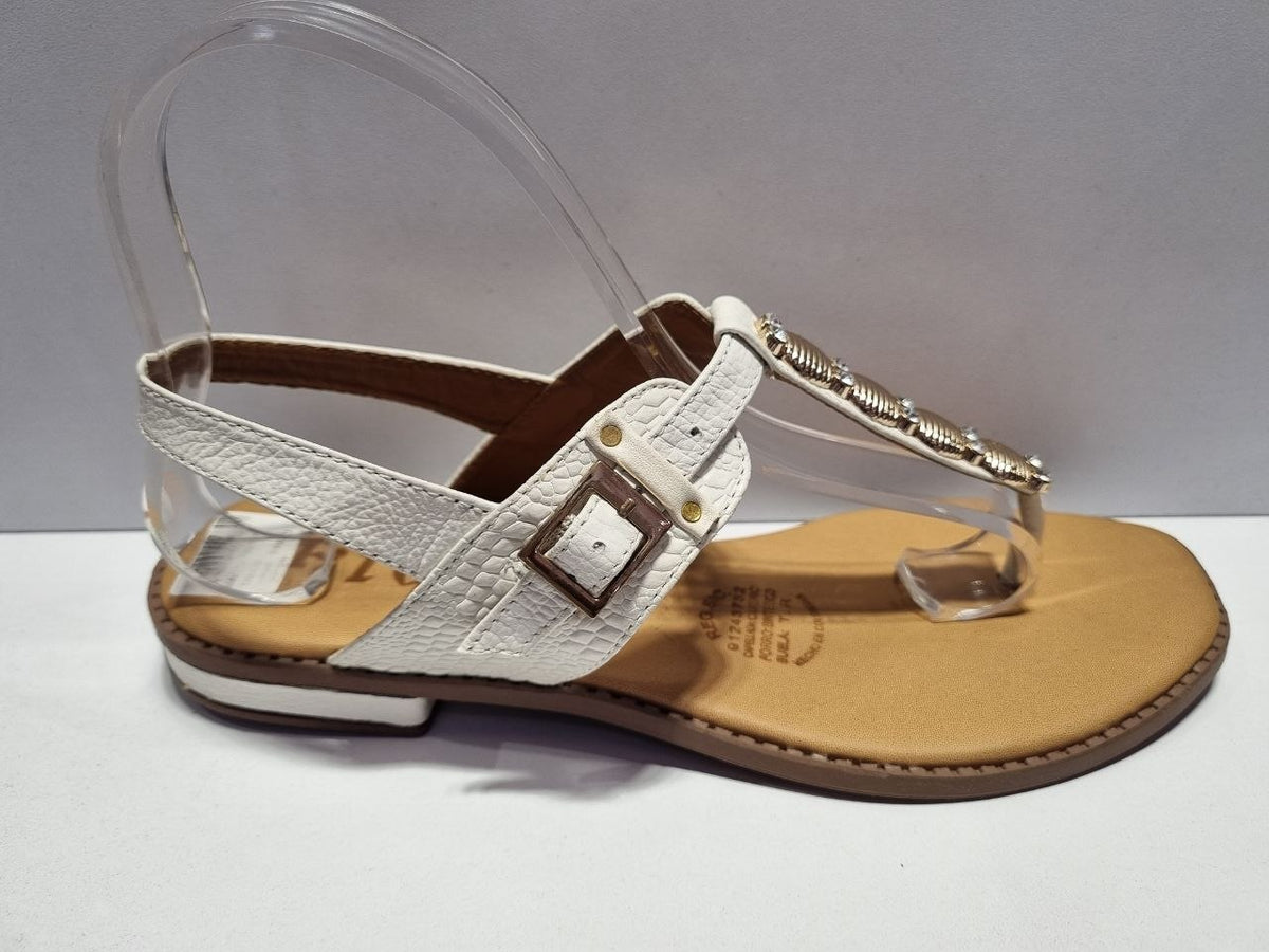SAND.RZ 048 PLANA